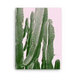 Cacti Pinkulus