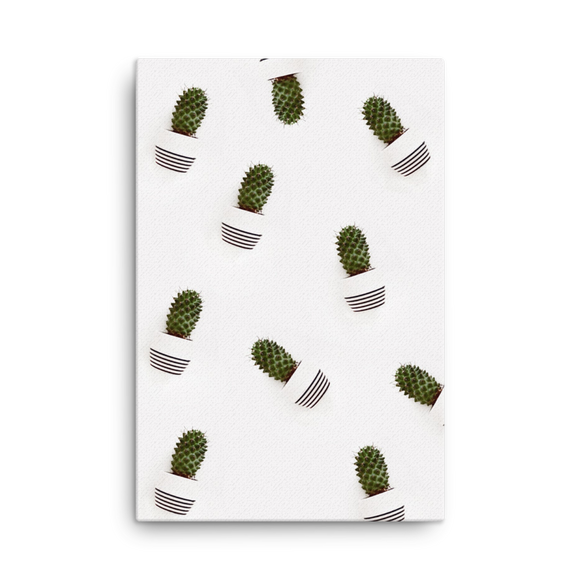 Cacti Minimalist