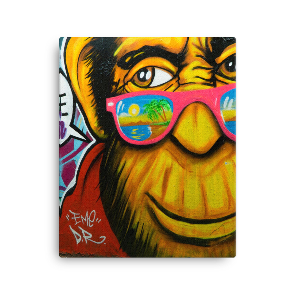 Monkey Street Art – Cloud9WallArt