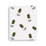 Cacti Minimalist