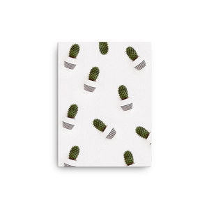 Cacti Minimalist