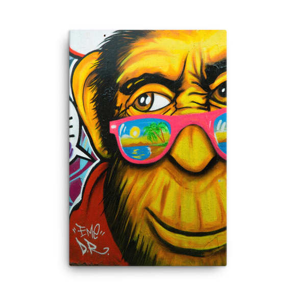 Monkey Street Art
