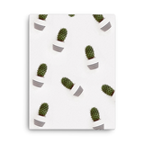 Cacti Minimalist